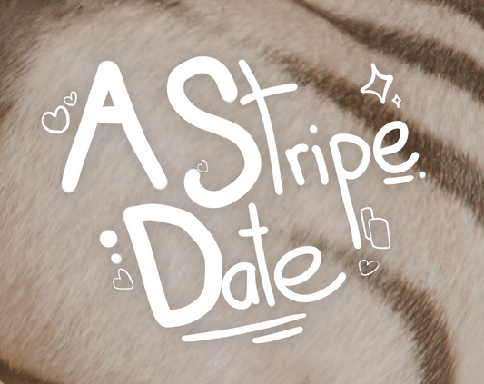 A Stripe Date
