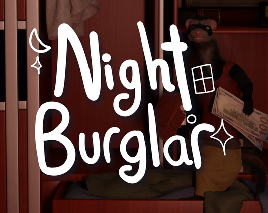 Night Burglar